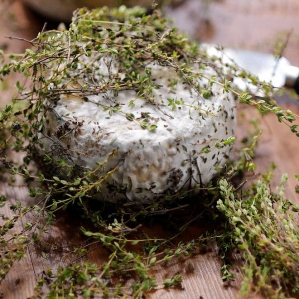 Pecorino "Lo Spron d'Oro"
