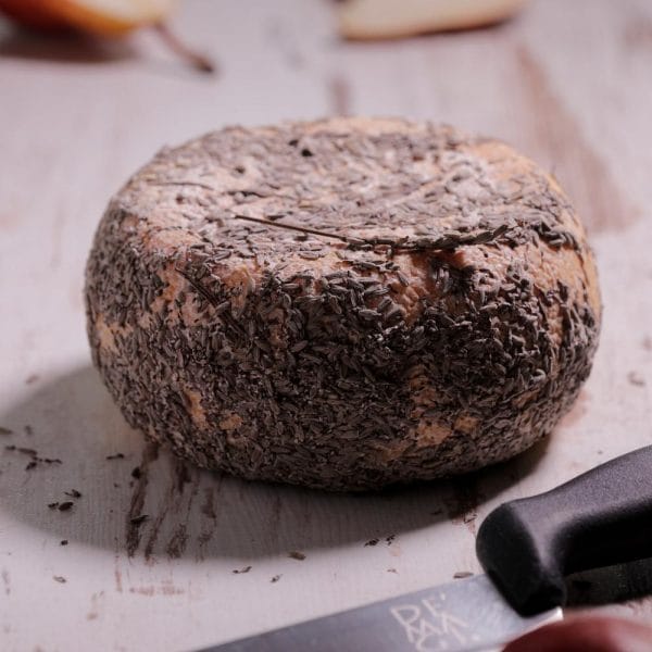 Pecorino Lavandino