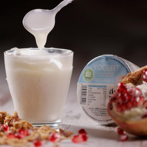 Natural Yoghurt