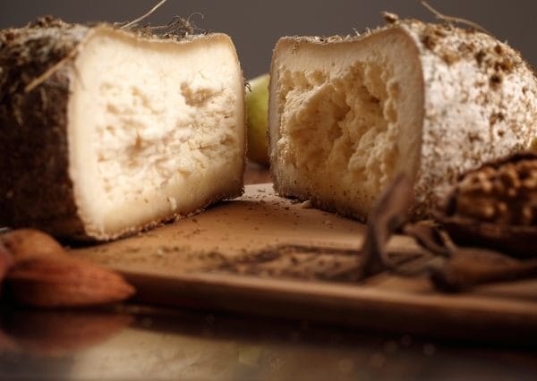 Pecorino Camomillo