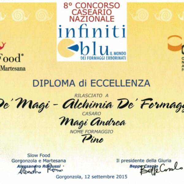 Pino-diploma-scaled